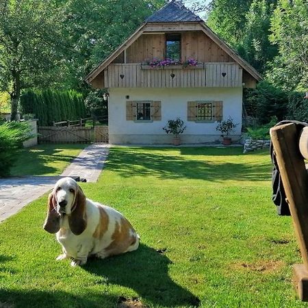 Vila Jana Radovljica Exteriér fotografie