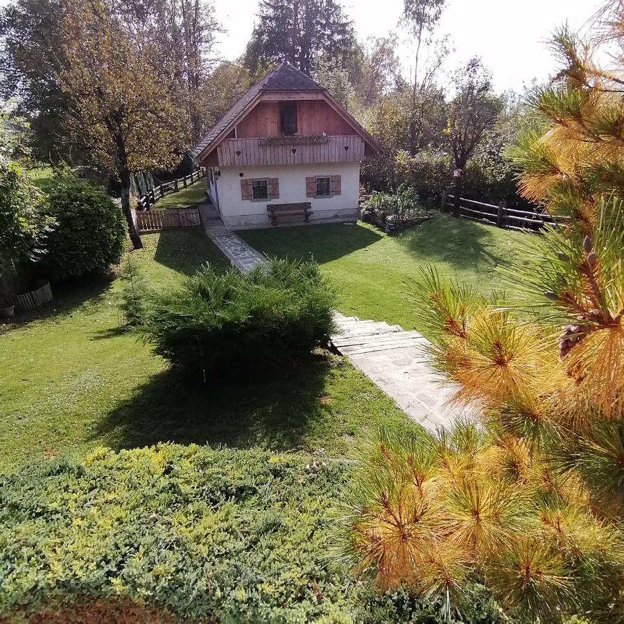Vila Jana Radovljica Exteriér fotografie